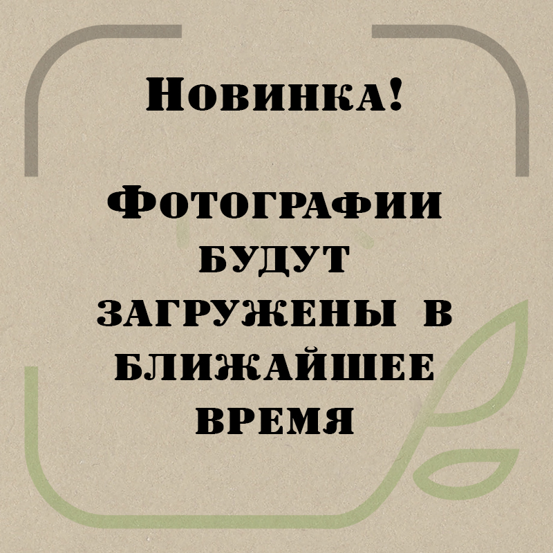 Постельное белье Хлопок Комфорт